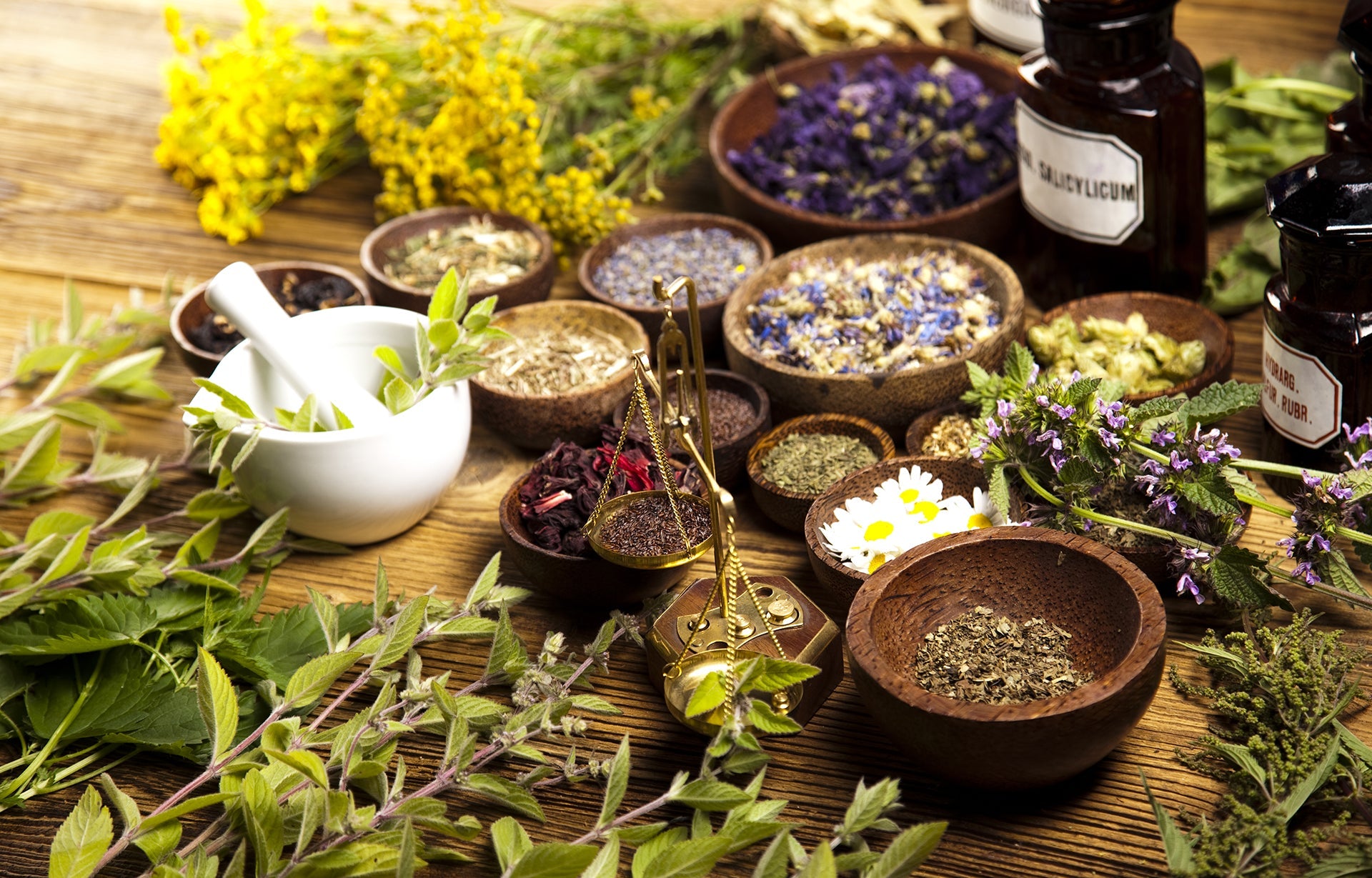 Bitkisel & Doğal Yaşam (Aromaterapi / Fitoterapi)