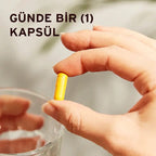SOLGAR Turmeric Root Extract Standardize Zerdeçal Kök Ekstresi 60 KAPSÜL