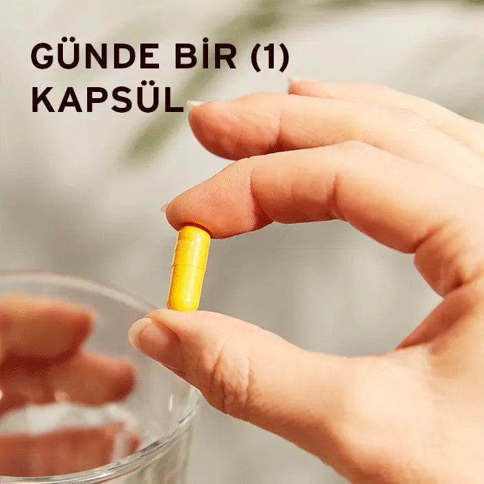 SOLGAR Turmeric Root Extract Standardize Zerdeçal Kök Ekstresi 60 KAPSÜL