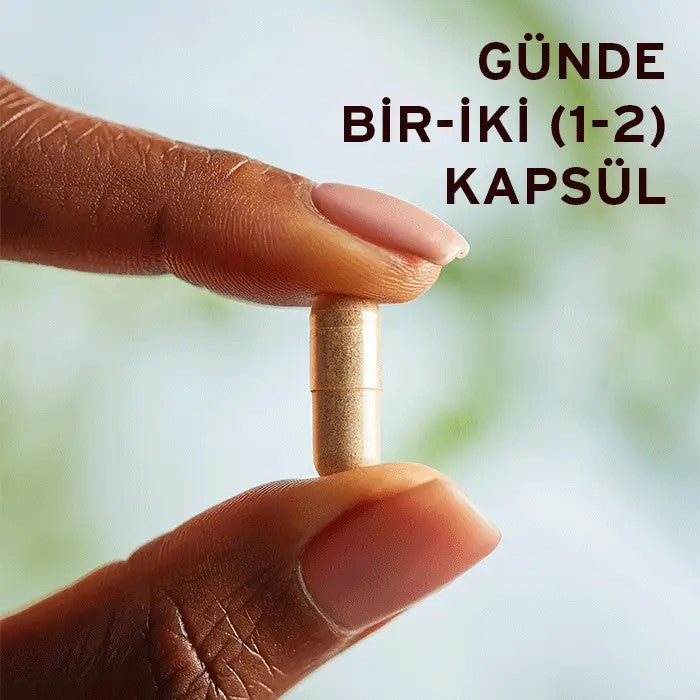 SOLGAR Ginkgo Biloba Leaf Extract 60 Kapsül Standardize Ginkgo Biloba Yaprak Ekstresi