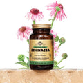 SOLGAR Echinacea Ekinezya   100 KAPSÜL