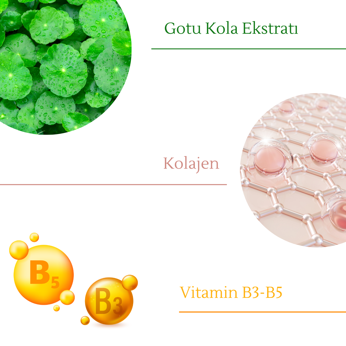 Ojijo London Yaşlanma Karşıtı Canlandırıcı Gözenek Sıkılaştırıcı Kolajen Cilt Bakım Serumu 25 Ml
