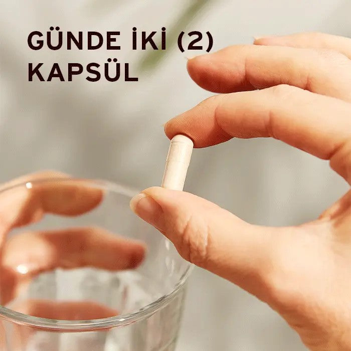 SOLGAR Psyllium Husks Fibre 500 mg 200 KAPSÜL - Karnıyarık Otu Lifi 500 mg
