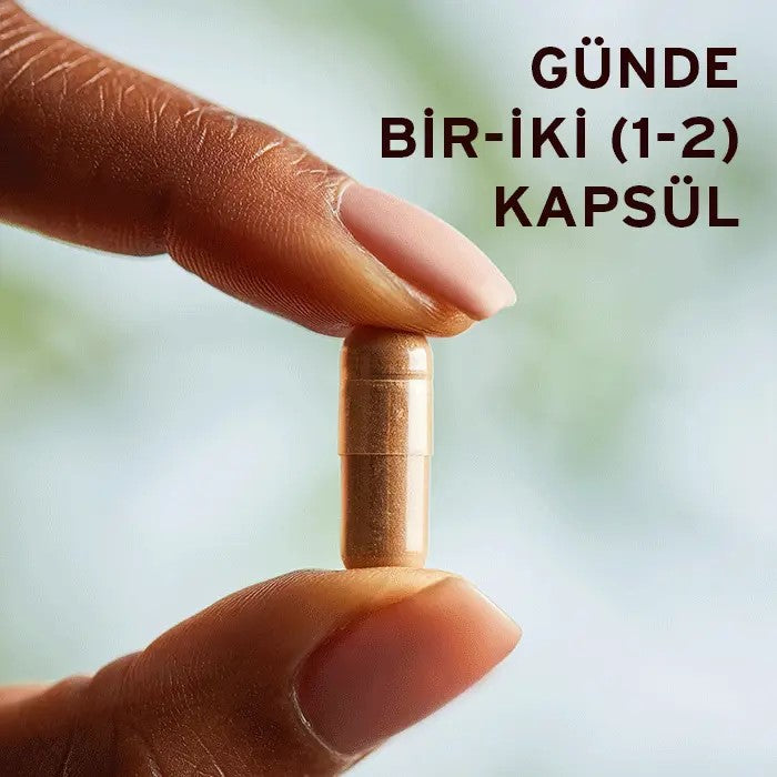 SOLGAR Green Tea Leaf Extract Standardize Yeşil Çay Yaprak Ekstresi 60 KAPSÜL