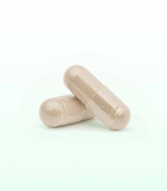 HHS NEW A1 L-Carntine Lepdium 30 Kapsül x 2  ADET