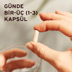 SOLGAR Korean Ginseng 50 Kapsül Kore Ginsengi