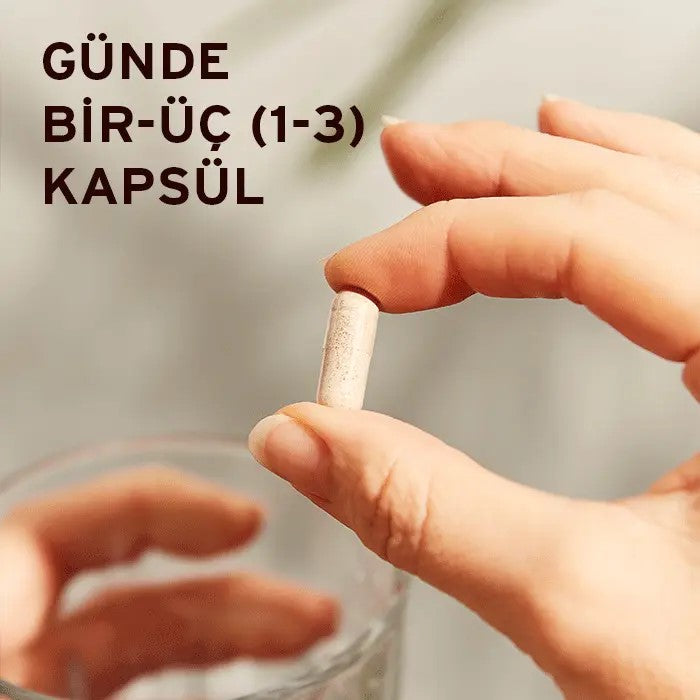 SOLGAR Korean Ginseng 50 Kapsül Kore Ginsengi