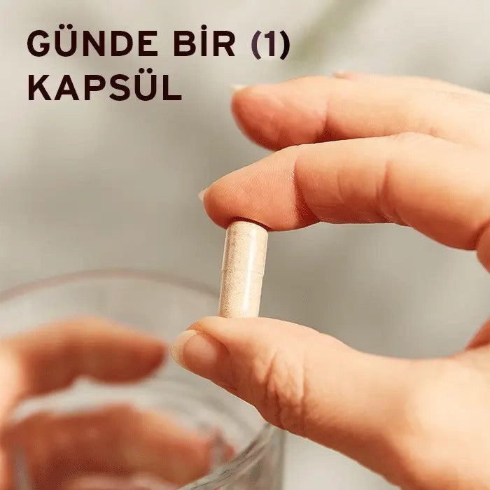 SOLGAR Rhodiola Root Extract Standardize Rodiola Kök Ekstresi 60 Kapsül