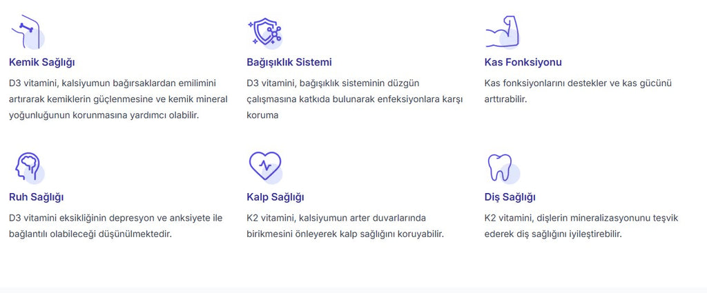 FORVİTS LAB D3K2 SPREY