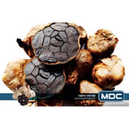 MDC Black Garlic 3'lü Paket  (SİYAH SARIMSAK) 30 Tablet x 3 Paket