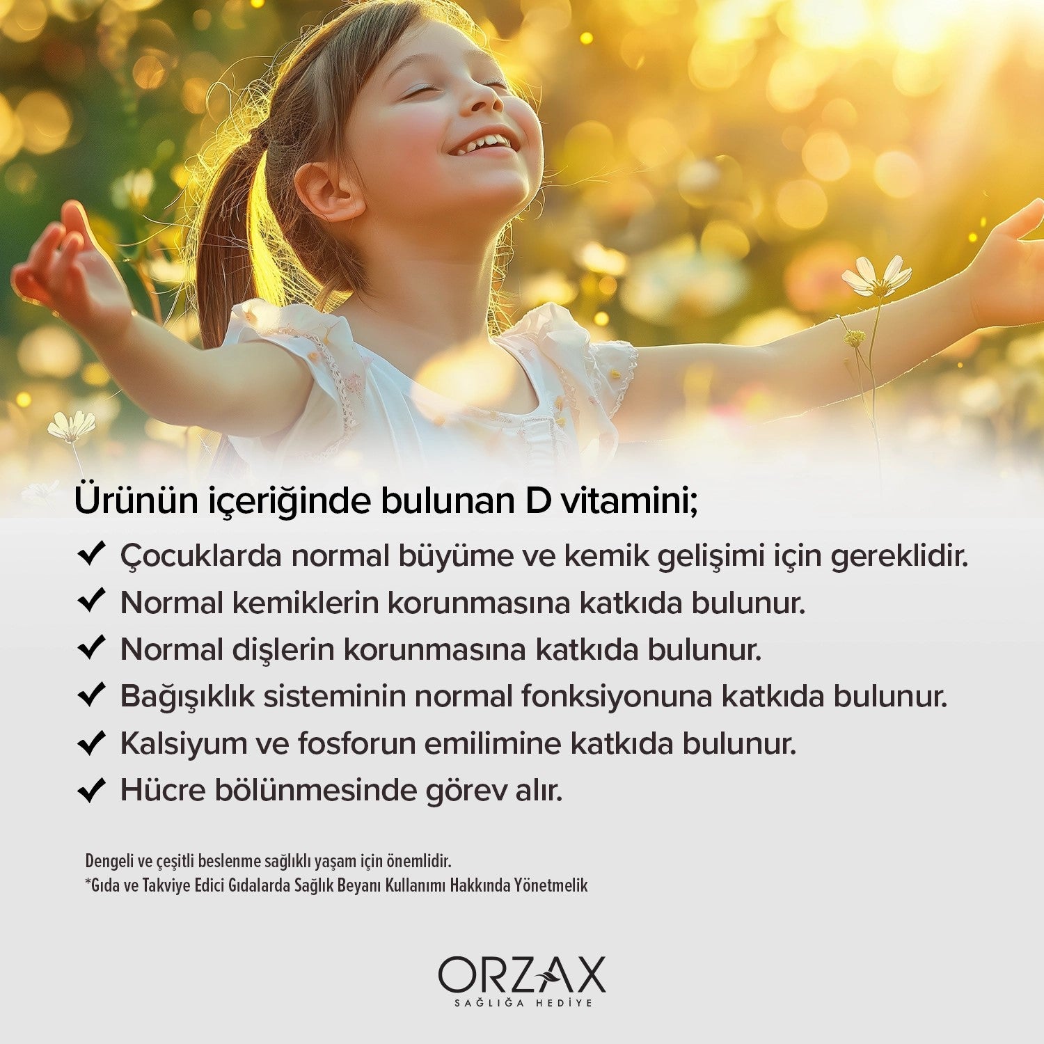 Ocean Vitamin D3 400 IU Sprey
