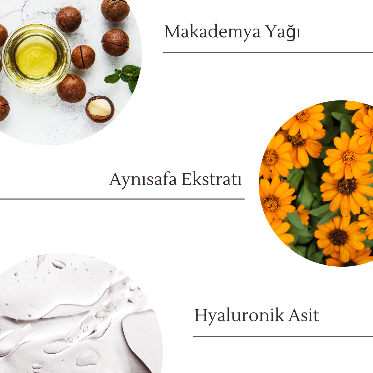 OJIJO LONDON Onarıcı, Yoğun Nemlendirici, Yaşlanma Karşıtı Hyalüronik Asit Krem 50 ml