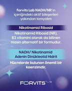 FORVİTS LAB NADH NR