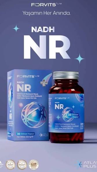 FORVİTS LAB NADH NR