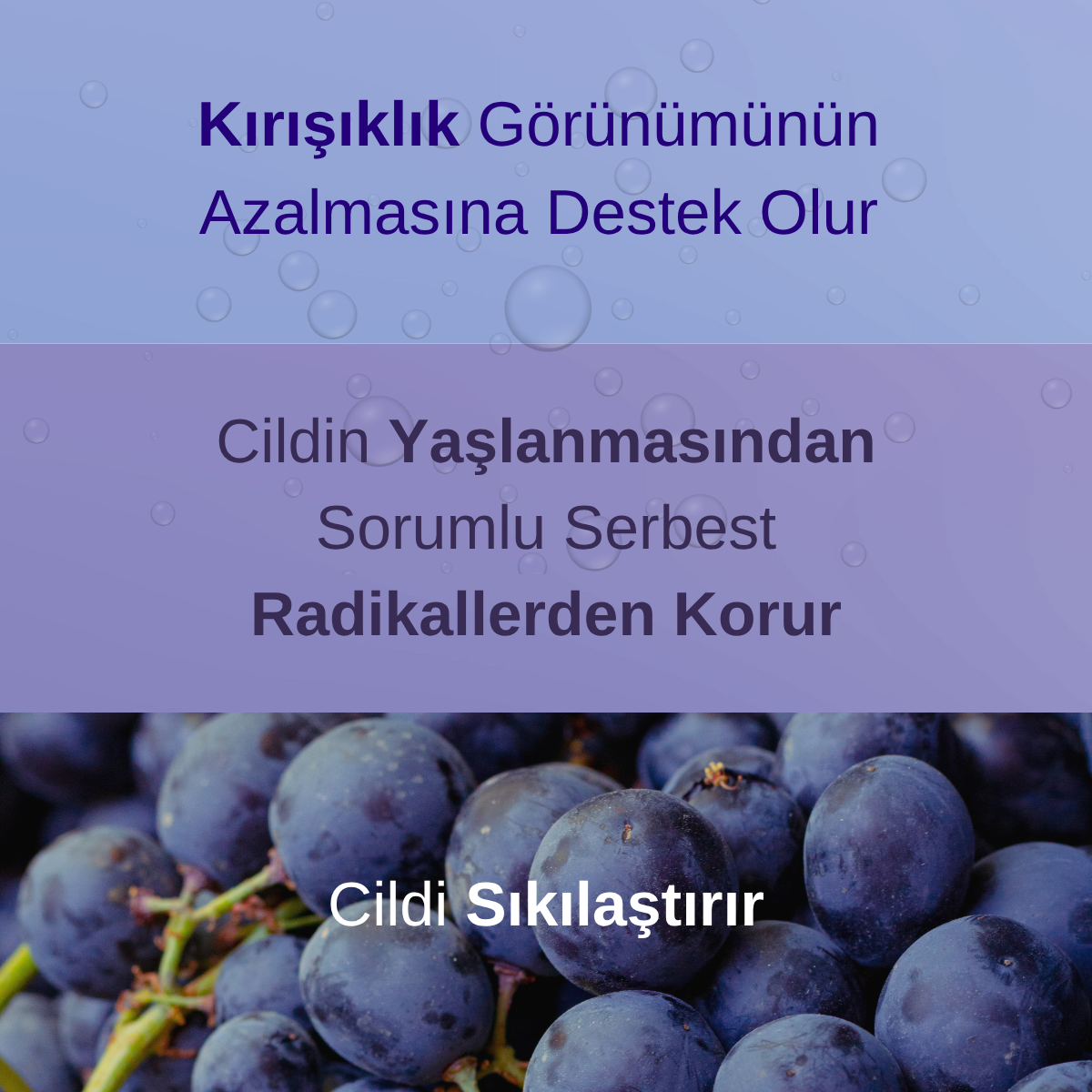 Ojijo London Onarıcı Ve Yenileyici Resveratrol Antioksidan Cilt Bakım Serumu 25 ML– Leke ve Yaşlanma Karşıtı Etki – 5 x 5 ml