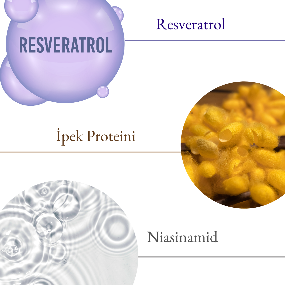 Ojijo London Onarıcı Ve Yenileyici Resveratrol Antioksidan Cilt Bakım Serumu 25 ML– Leke ve Yaşlanma Karşıtı Etki – 5 x 5 ml